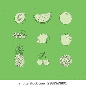 Fruits icons kiwi, watermelon, orange, currant, lemon, apple, pineapple, cherry raspberries drawing in linear style on green background