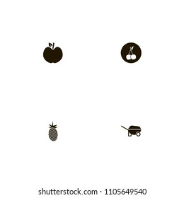 Fruits icons set. berry, tropic, pineapple and apple