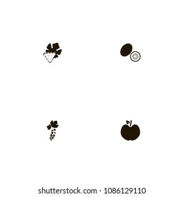 Fruits icons set. currant, tree, apple and black currant