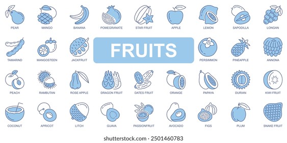 Iconos de frutas en diseño de trazo de contorno duotono para Web. Empaque pictogramas de pera, mango, plátano, granada, manzana, limón, tamarindo, mangostán, jackfruit, caqui, otros. Ilustración vectorial.