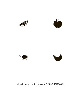 Fruits icons set. garden, tree, apple and watermelon