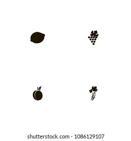 Fruits icons set. grapes, berry, grape and currant