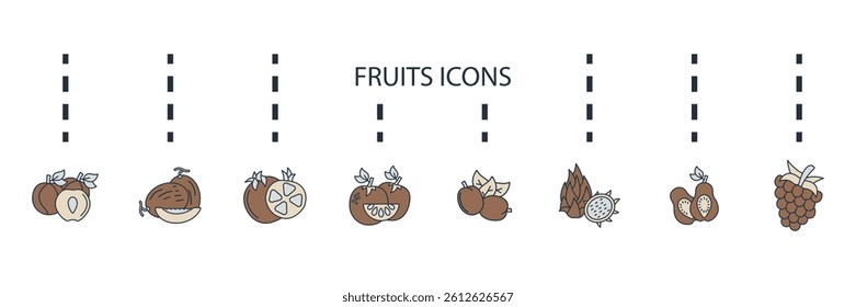 fruits icons set isolated on White Background Flat style design