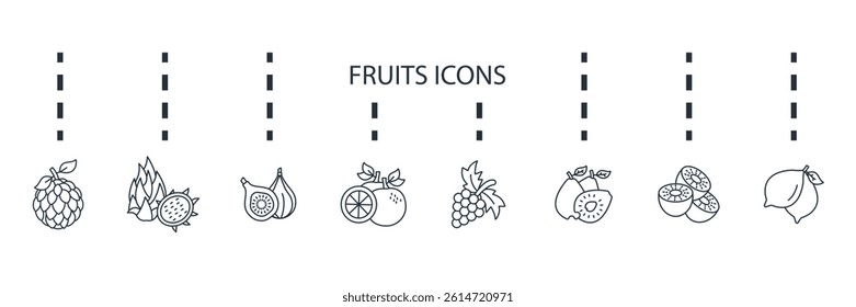 fruits icons set isolated on White Background Flat style design