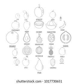 Fruits icons set. Outline illustration of 25 fruits vector icons for web