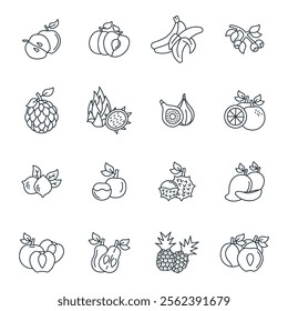 Fruits icons set . Fruits pack symbol vector elements for infographic web