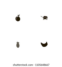 Fruits icons set. pineapple, tropic, wheelbarrow and peach