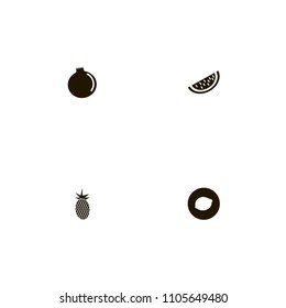 Fruits icons set. pineapple, watermelon, lemon and garnet