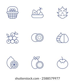 Fruits icons set. Thin Line style, editable stroke. fruit, fruits, lemon, maracuya, pitaya, snake fruit, tomato.
