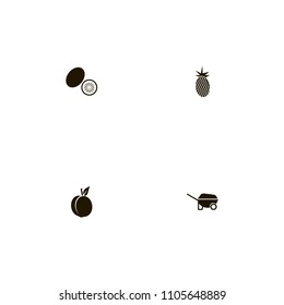 Fruits icons set. tropic, pine, pineapple and peach