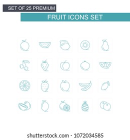 Fruits icons set vector 