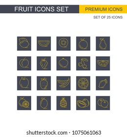 Fruits icons set vector 