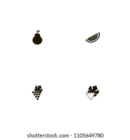 Fruits icons set. watermelon, grape, melon and grapes