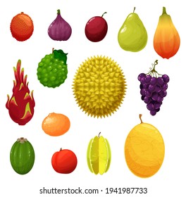 Fruits icons, tropical exotic and farm garden harvest, vector. Apple and pear, tropic durian and dragon fruit pitaya, feijoa and tangerine, melon cantaloupe and lychee, gig and grapes with plum