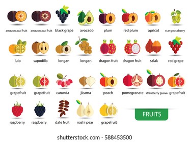 fruits icons vector