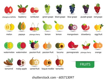 fruits icons vector