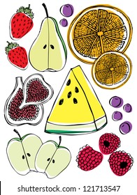 fruits illustration/vector