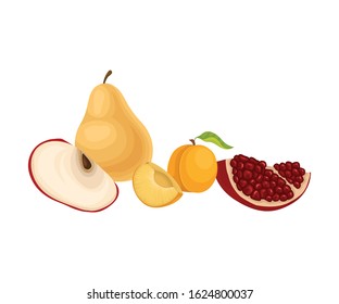Fruits Isolated on White Background Vector Illustration. Food for Good Brain Function