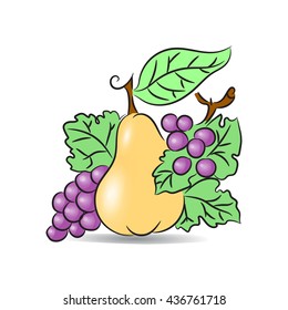 Fruits isolated on white background pear, grape