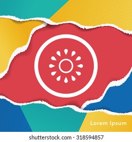 fruits kiwi icon