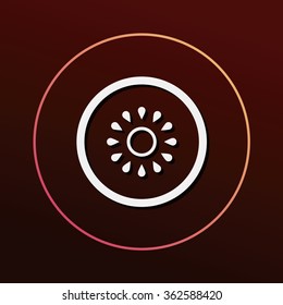 fruits kiwi icon