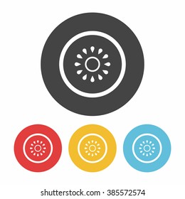 fruits kiwi icon