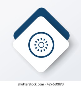 fruits kiwi icon