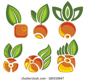 Fruits labels with green leaves