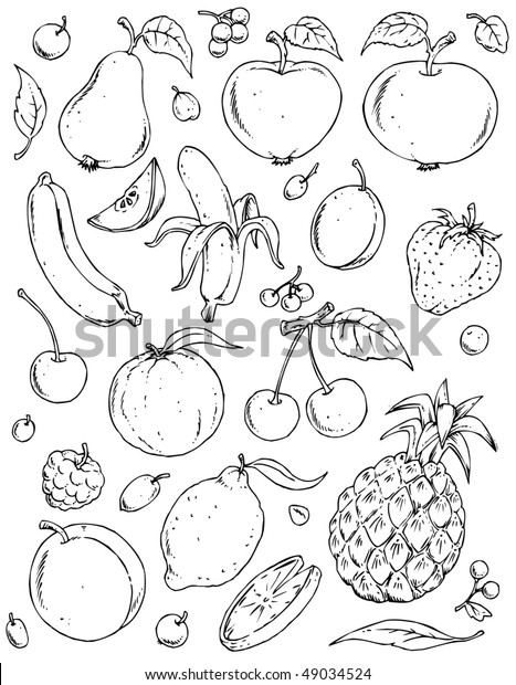 Fruits Large Group Black White Illustration Stock Vector (Royalty Free ...