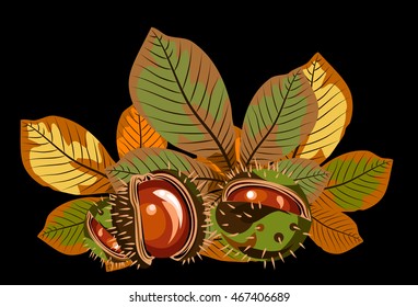 Fruits and leaves of horse chestnut