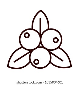 fruits leaves nature fresh vector illustration line icon style