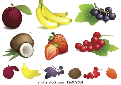 Fruits with leaves and segments. Silhouettes of fruits