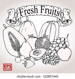 fruits line art drawn with vector Editable and separate