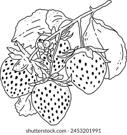 fruits line element design for templates.