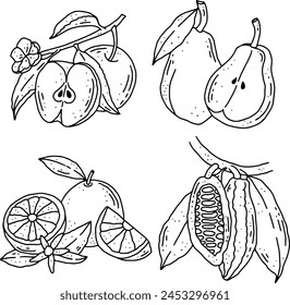 Fruits Line Element Design für Vorlagen.