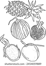 Fruits Line Element Design für Vorlagen.