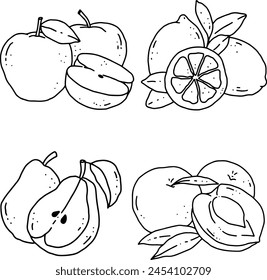 fruits line element design for templates.