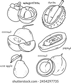 fruits line element design for templates.