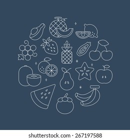 fruits line icon circle set