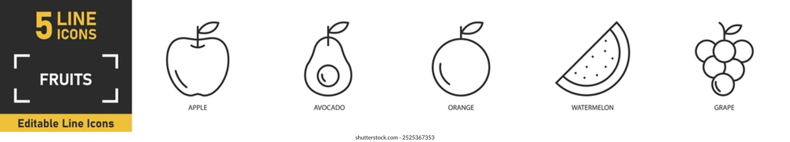 Fruits line icon set. Set of 5 outline icons related to apple, avocado, orange, watermelon, grape and more. Vector illustration.