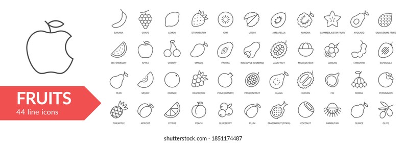 Fruits line icon set. Isolated signs on white background. Vector illustration