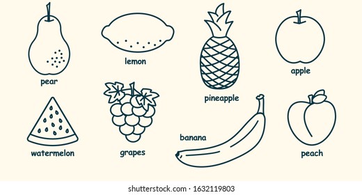 Fruits line set vectors on white
