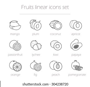 Fruits linear icons set. Realistic natural sliced fruits line art illustrations with signs. Vector outline drawing symbols isolated on white 