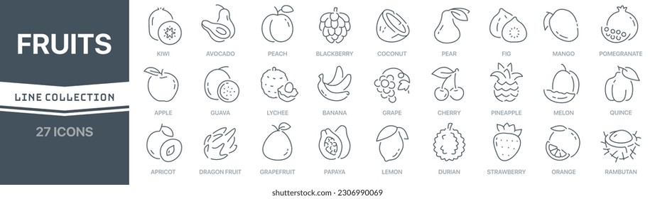 Fruits linear signed icon collection. Signed thin line icons collection. Set of fruits simple outline icons