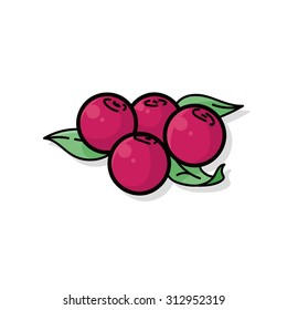 fruits Lychee doodle