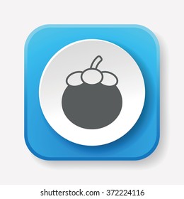 fruits Mangosteen icon