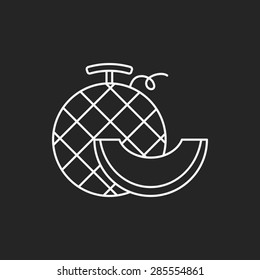 fruits melon line icon