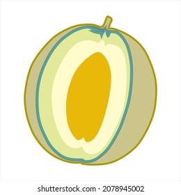 fruits melon vector logo. Can be used as Logo