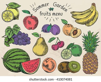 Fruits menu, summer garden, lemon, apple, grape, watermelon, pear, peach, plum, cherry, lime, kiwi, apricot, banana, pineapple