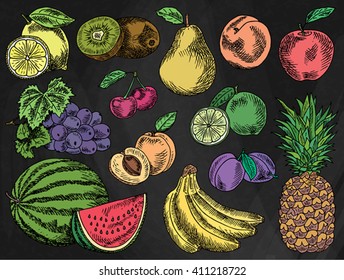 Fruits menu, summer garden, lemon, apple, grape, watermelon, pear, peach, plum, cherry, lime, kiwi, apricot, banana, pineapple